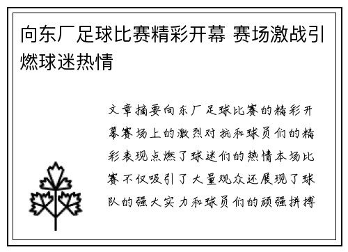 向东厂足球比赛精彩开幕 赛场激战引燃球迷热情