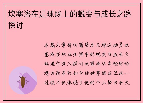 坎塞洛在足球场上的蜕变与成长之路探讨