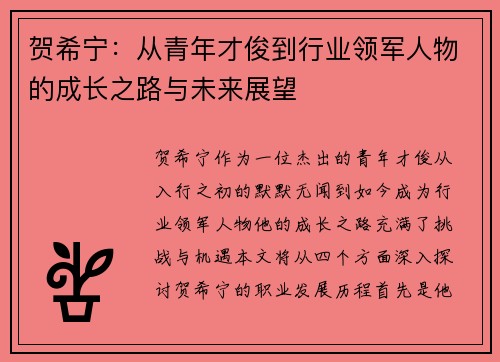 贺希宁：从青年才俊到行业领军人物的成长之路与未来展望