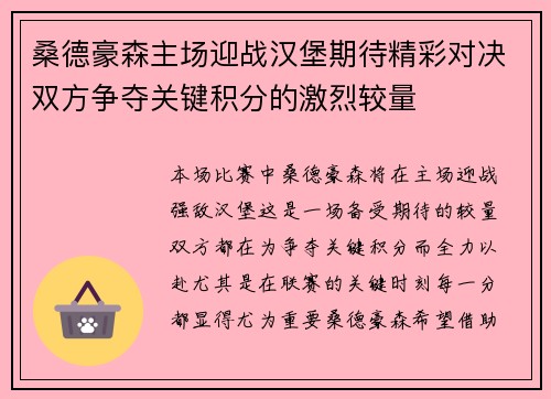 桑德豪森主场迎战汉堡期待精彩对决双方争夺关键积分的激烈较量