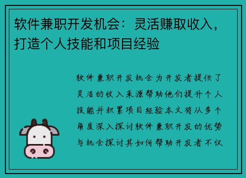 软件兼职开发机会：灵活赚取收入，打造个人技能和项目经验