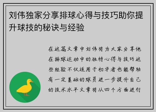 刘伟独家分享排球心得与技巧助你提升球技的秘诀与经验