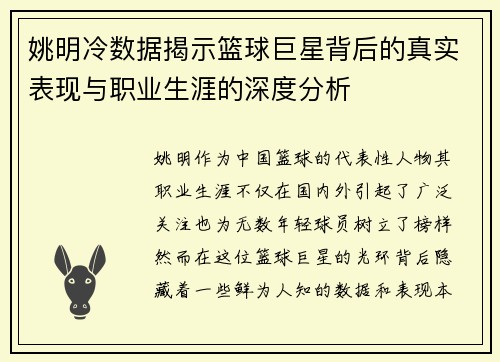 姚明冷数据揭示篮球巨星背后的真实表现与职业生涯的深度分析